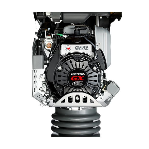 Alquiler Vibroapisonador Wacker Neuson, compactación ligera