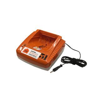 Cargador de Batería 36A