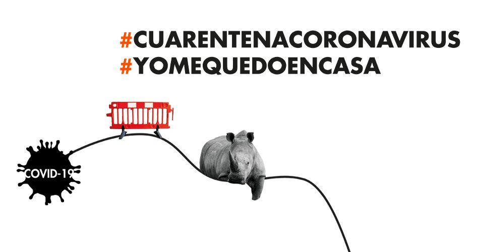 Parada país coronavirus