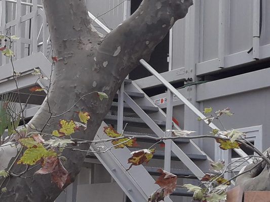 Alquiler módulos prefabricados