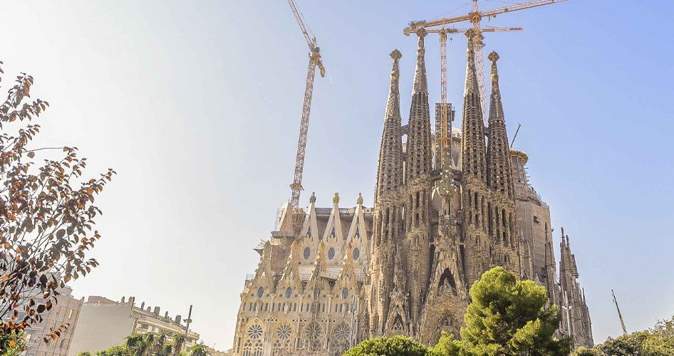 Somos proveedores oficiales de la Sagrada Familia