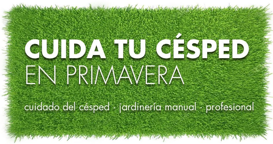 Consejos para tener un césped perfecto