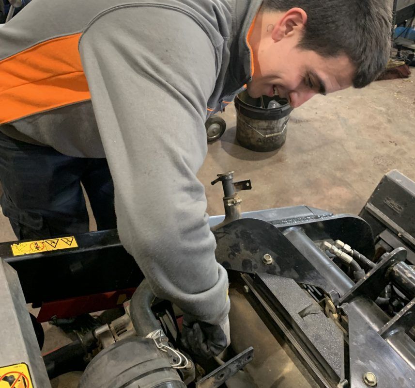 Reparación Dingo