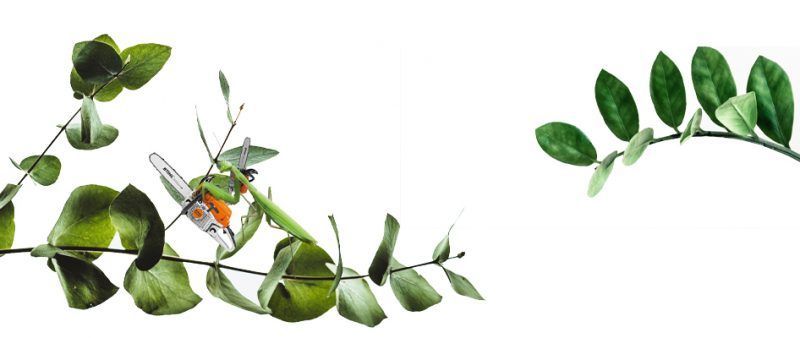 beneficios jardinería