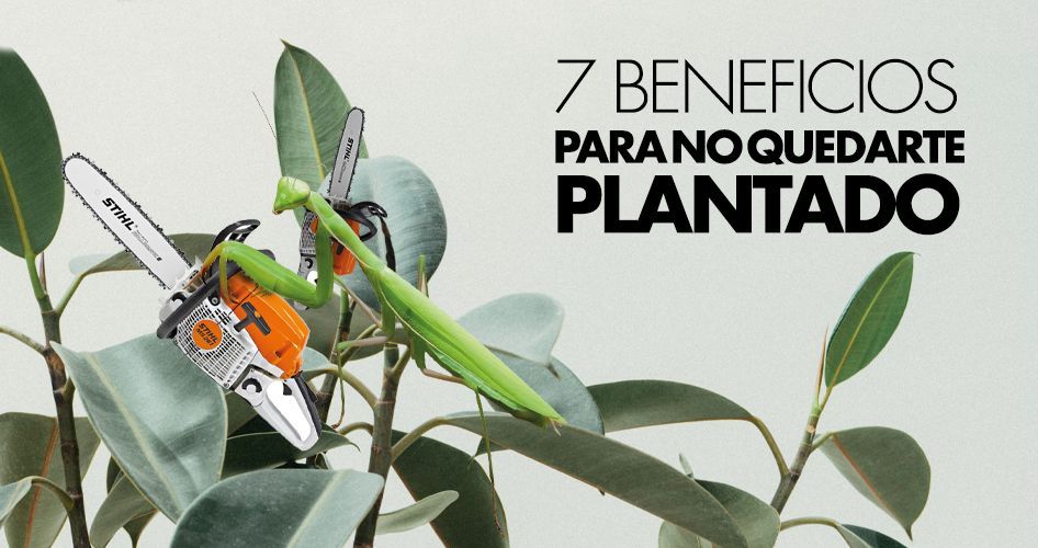 beneficios jardinería