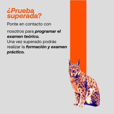 formación pemp