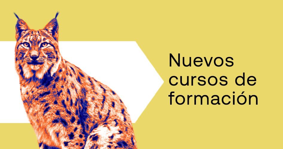 nuevos cursos de formación