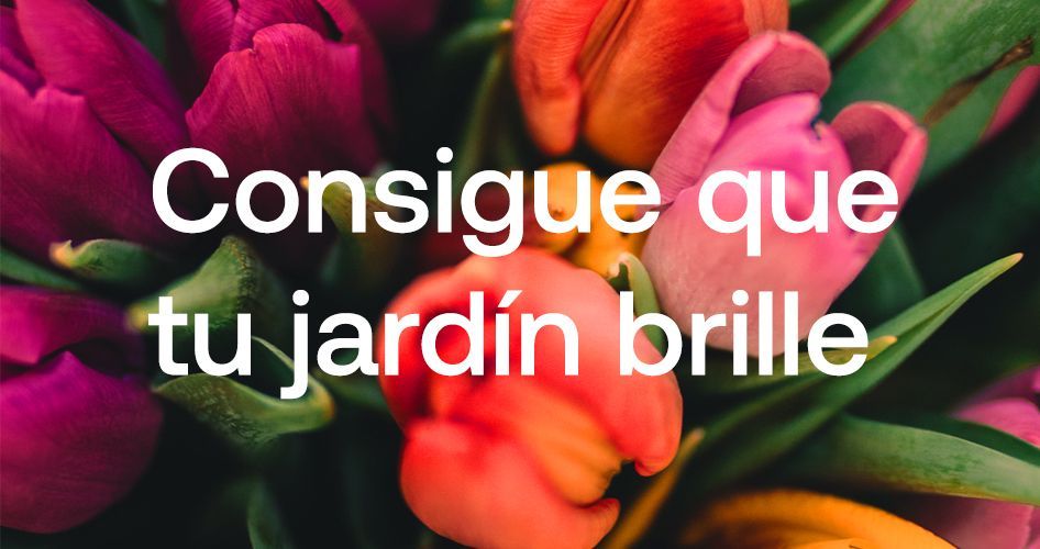 consejos para el cuidado del jardín