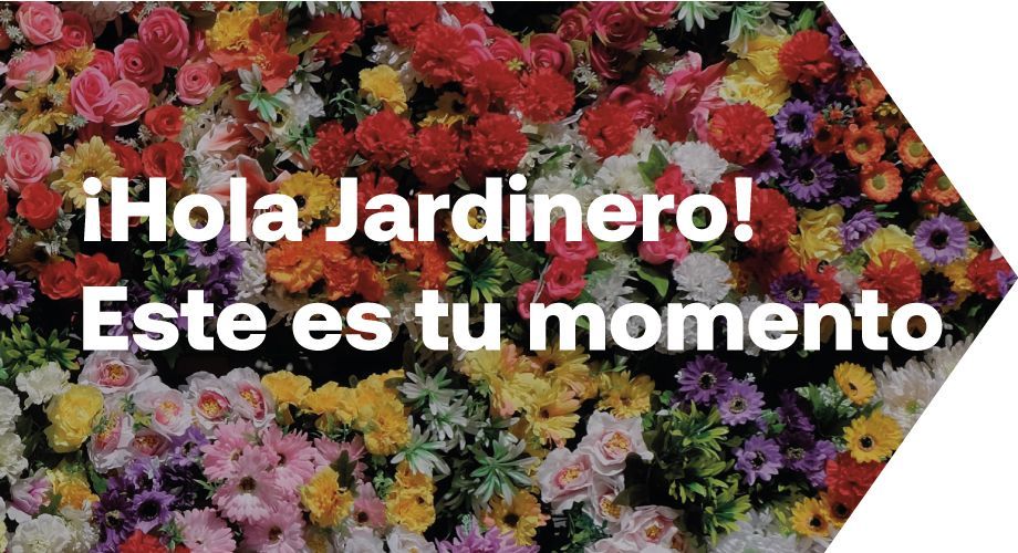 descuento maquinaria jardineria