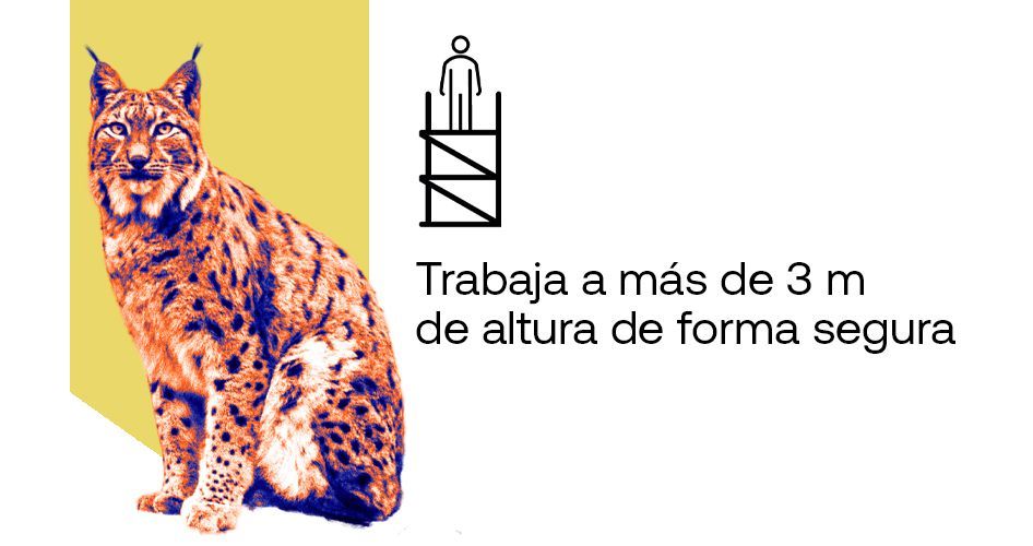 curso trabajos en altura