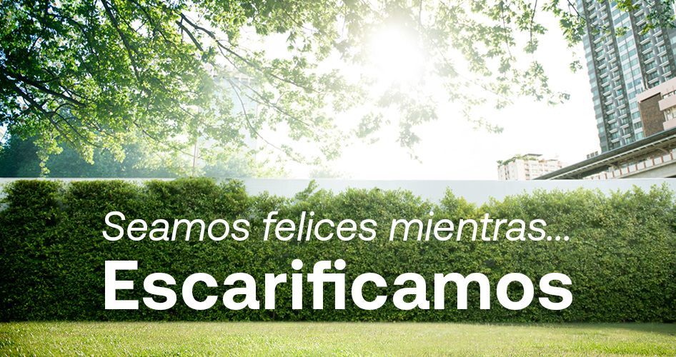 maquinaria jardineria escarificacion