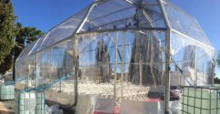 _0019_IGLU10