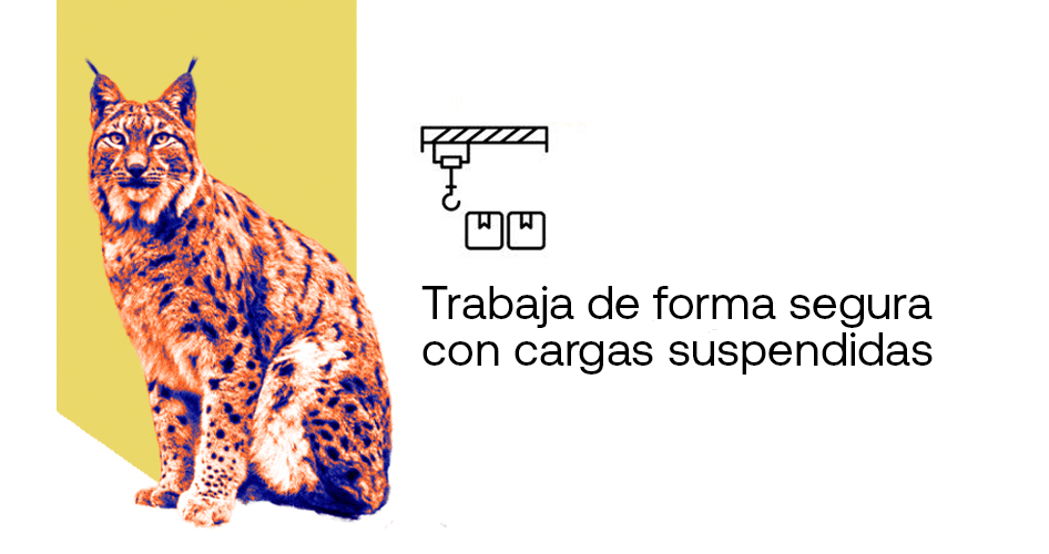 curso formacion puente grua
