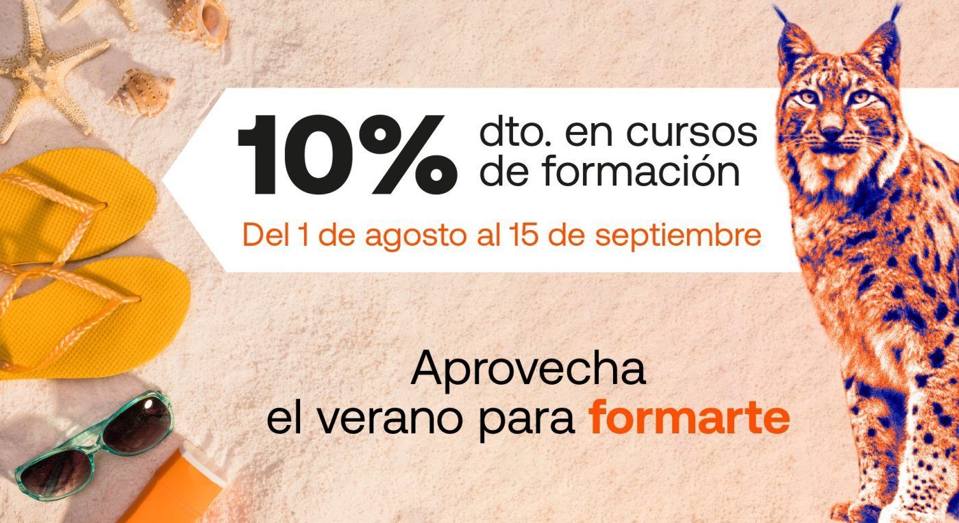 promoción cursos formación