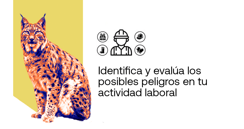 curso prl