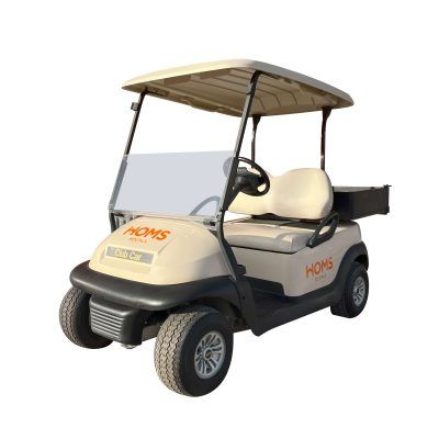 Buggy eléctrico 2 personas + Cajón