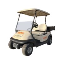 Buggy eléctrico 2 personas + Cajón