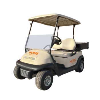 Buggy eléctrico 2 personas + Cajón