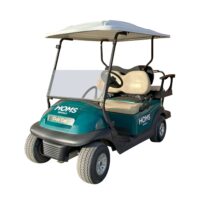 Buggy eléctrico 4 personas