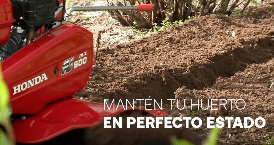 alquiler motocultor para huerto pequeño