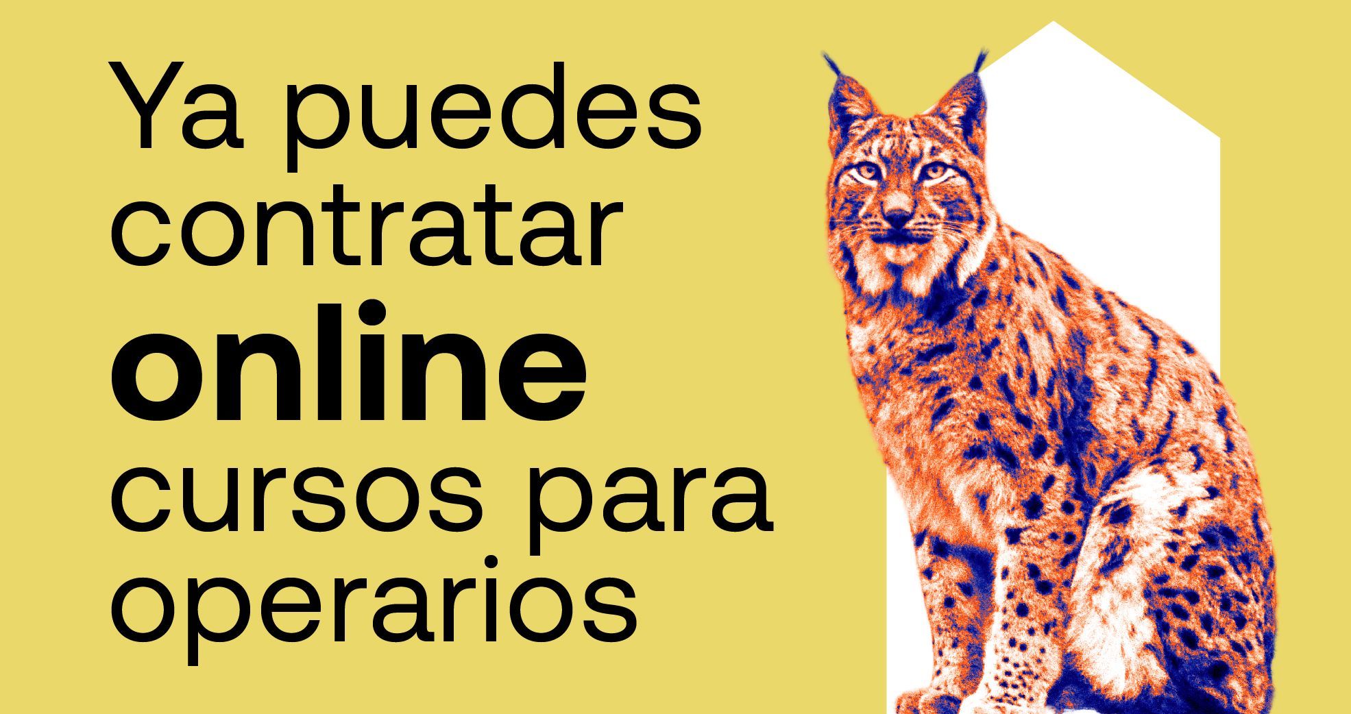 contratar cursos de formación