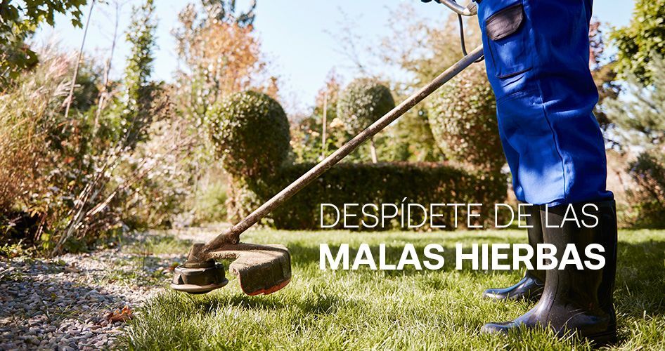 alquiler desbrozadora para jardín