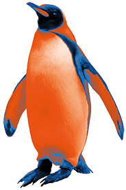 Pingüino en eventos