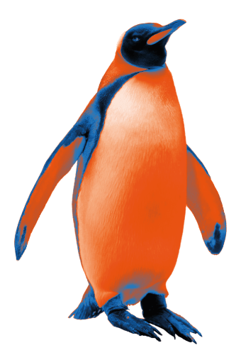 Decoración Pingüino