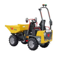 dumpertolvaelevable_wackerneuson_dw15_alquiler_homsrentals