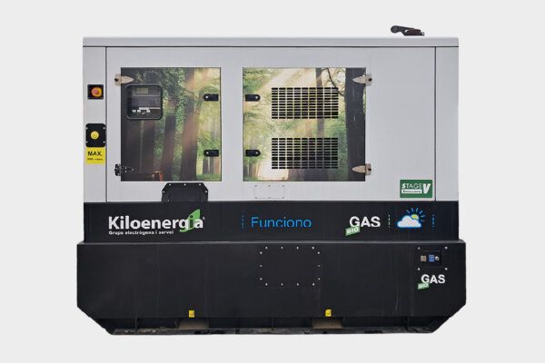 grupo electrogeno gas